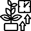 Odoo consultant